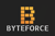 Byteforce Logotype
