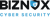 Biznox Cybersecurity Logotype