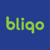 Bliqo Digital Logotype
