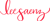 Lee Saenz Logotype