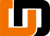 Digital Diviners IT Solutions Logotype