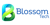 Blossom Tech Logotype