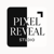 Pixel Reveal Logotype