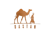 Dastan Traders Logotype