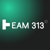 Team 313 Ltd Logotype