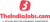 TheIndiaJobs.com Logotype