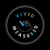 Vivid Measured Logotype