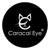 CaracalEye Logotype