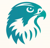 Falcon Book Publishing Logotype