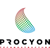 Procyon Technostructure Logotype