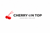 Cherry On Top Logotype