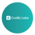 Codify Labs Logotype