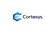 Cortesys Logotype