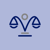 Smith and Johnson IP Law Logotype
