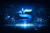SignalEDI Inc Logotype
