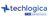 Techlogica IT DT Solutions Logotype