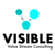 Visible Flow Consulting Logotype