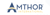 Amthor International Logotype