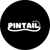 Pintail Marketing Logotype