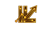 Intellical labs Logotype