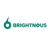 Brightnous IT Services Pvt. Ltd. Logotype
