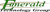 Emerald Technology Group Logotype