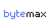 Bytemax Web Studio Logotype