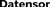 Datensor Logotype