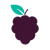 Berrynoon Logotype