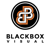 Blackbox Visual Logotype