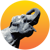 Radiant Elephant Logotype