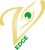 Vision Edge Logotype