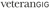 VeterangigAB Logotype