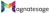 Magnatesage Technologies Logotype