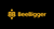 BeeBigger Logotype