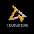 TeQ Mavens Logotype