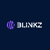 Blinkz LLC Logotype