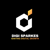 digisparkes Logotype