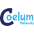 Coelum Networks Logotype