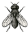 Powerfly Logotype