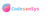 CodesenSys Logotype