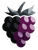 BlackBerry Tech Logotype