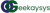 Geekaysys Logotype