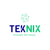TekNix Corporation Logotype
