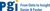 PGI Technology Solutions Pte Ltd Logotype