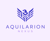 Aquilarion Nexus Logotype