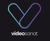 Videosanat Logotype