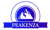 Peakenza Software Services Logotype