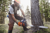 Manhattan Tree Trimming and Removal Company Logotype