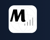 Worldmetrics Market Research Logotype
